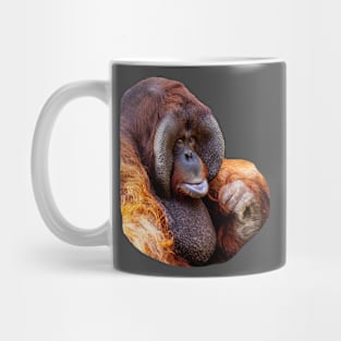 Old Man of the jungle Mug